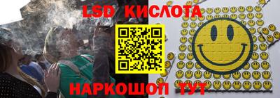прущие грибы Пенза