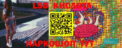 гидропоника Пыть-Ях