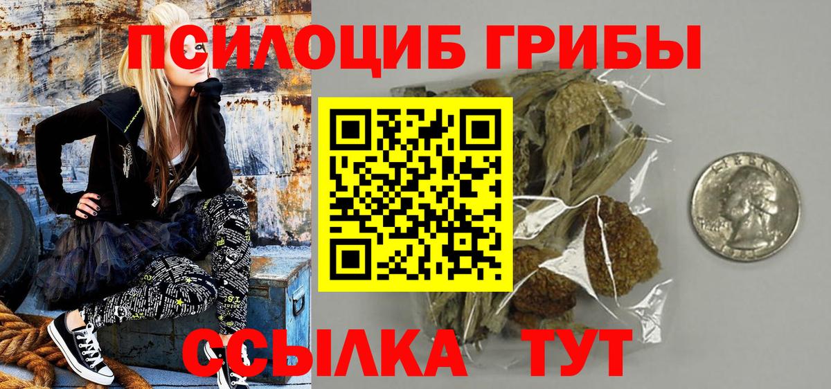 Псилоцибиновые грибы Magic Shrooms Петрозаводск