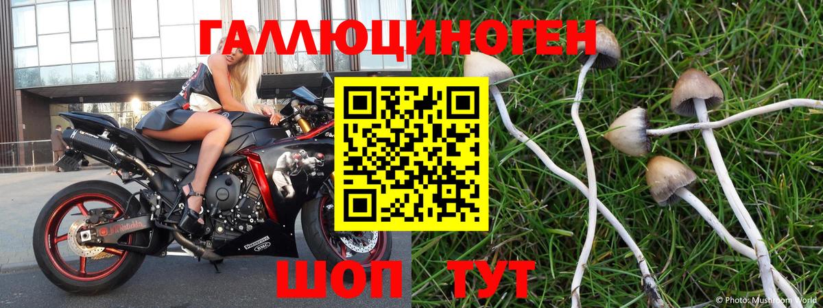 Псилоцибиновые грибы GOLDEN TEACHER  Вход с VPN  Петрозаводск 